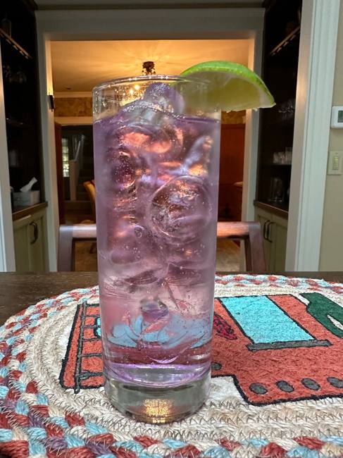 Gin and Tonic